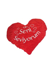 Seni Seviyorum Nakışlı Yastık