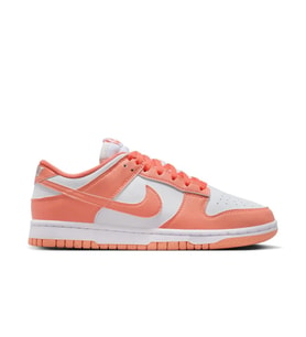 NİKE Dunk Low Next Nature DD1873-109