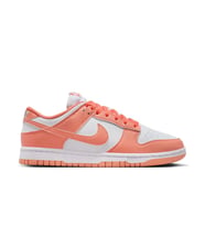 NİKE Dunk Low Next Nature DD1873-109