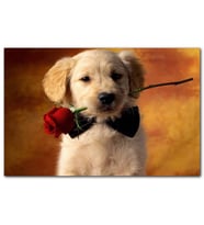 Cakatablo Ağzında Kırmızı Gül Puppy Cinsi Köpek MDF Tablo