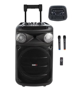 Midex 1300 Watt FM Radyolu Ekholu Kablosuz Mikrofonlu Şarjlı Mevlüt Anfisi MXR-1300