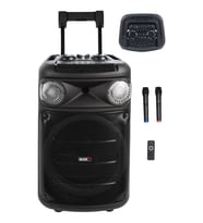 Midex 1300 Watt FM Radyolu Ekholu Kablosuz Mikrofonlu Şarjlı Mevlüt Anfisi MXR-1300