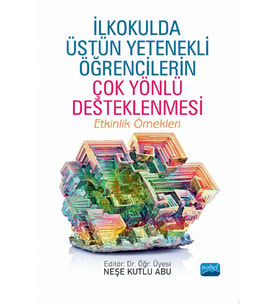 İLKOKULDA ÜSTÜN YETENEKLİ ÖĞRENCİLERİN ÇOK YÖNLÜ DESTEKLENMESİ - Etkinlik Örnekleri