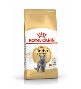 Royal Canin British Shorthair Kedilerine Özel Mama 10 Kg