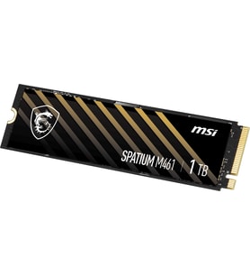 MSI 1TB SPATIUM M461 5000-3200MB/s M2 NVME GEN4 Disk