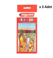 Bigpoint Metalik Kuru Boya Kalemi 12 Renk x 3 Adet