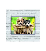 Sevimli Köpekler Ahşap Tablo