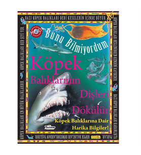 Köpek Balıklarının Dişleri Dökülür Bunu Bilmiyordum Teleskop Popüler Bilim