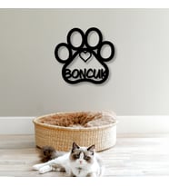 Kedi Patisi, Evcil Hayvana Özel İsimli Tablo