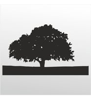 Folyo Sticker Ağaç ADKPQUY107 40cm Uzunluk (Karışık)