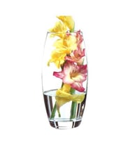 Paşabahçe 43966 Botanica Cam Vazo 26X8 cm (Renksiz)