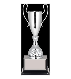 ODAK KUPA - Elit Kupalar - ELT-001 C - 38 cm