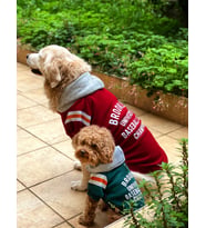 Köpek kıyafeti, Köpek hoodie,  Brooklyn Köpek Kıyafeti Köpek Kapüşonlu Bsb101 (Nefti)