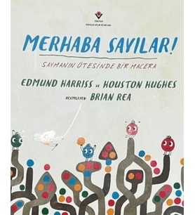 Merhaba Sayılar ! Saymanın Ötesinde Bir Macera