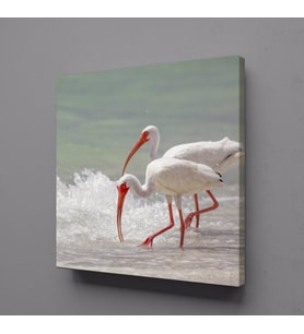 BEYAZ FLAMİNGOLAR KANVAS TABLO 25x25cm (Karışık)