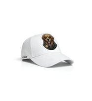 Köpek Unisex Şapka