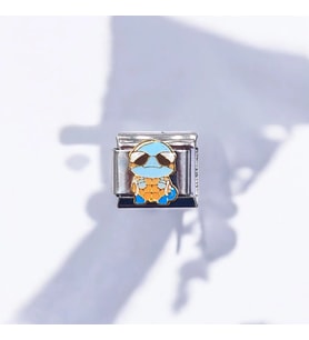 Kaplumbağa Desenli Charm