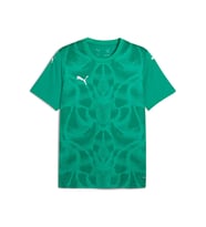 Puma Teamultimate Jersey Erkek Futbol Maç Forması 70628005 Yeşil