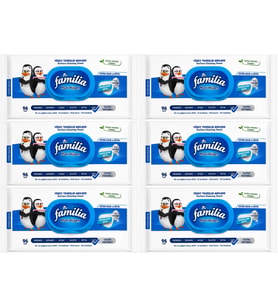 Familia Yüzey Temizlik Havlusu 96 Yaprak Maxi Hijyen Kabartma Doku Plastik Kapaklı 6 Lı Set 576 Yprk