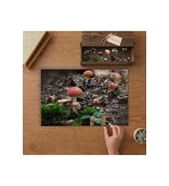 Sinek Mantarları - Doğa Manzarası - Orman Tasarımı 240 parça Ahşap Puzzle Ahşap Kutuda MP01826