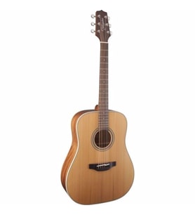 Takamine GD20-NS Akustik Gitar