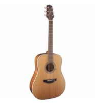 Takamine GD20-NS Akustik Gitar