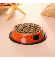 Paslanmaz Çelik 180 ml Turuncu Kaymaz Taban Kedi Köpek Mama Ve Su Kabı cin570tr