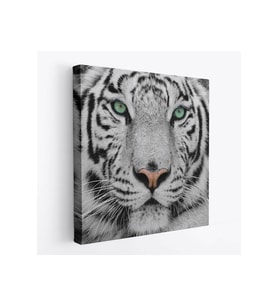 Kaplan Dekoratif Kanvas Tablo-5807