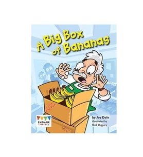 Big Box Of Bananas