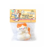 Eğlenceli Stres Atıcı Sukuşi Slime Kedi Poşette