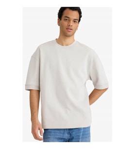 Defacto Basic Taş Erkek T-Shirt B4844AX/GR368