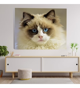 Mavi Gözlü Kedi Dekoratif Kanvas Tablo