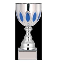 ODAK KUPA - X Large Kupalar - XL-019 B - 30 cm