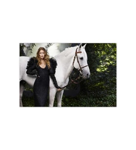 Ahşap Tablo Gigi Hadid Ve Beyaz At -25-35 Cm