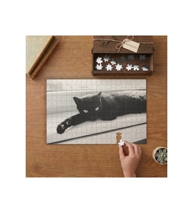Siyah Kedi Tasarımı 240 parça Ahşap Puzzle Ahşap Kutuda MP03129