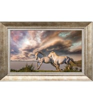 GÜMÜŞ ÇERÇEVELİ TABLO N1207