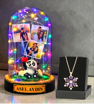 Kişiye Özel Renkli Led Işıklı Fanus ve Gerçek Ametist Taşlı Lotus Kolye (Model 5)