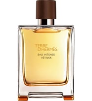 Hermès – Terre d’Hermès Intense Vétiver – 100 ML – EDP - Erkek parfümü