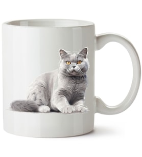 Kedi Baskılı Porselen Kupa Bardak