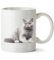 Kedi Baskılı Porselen Kupa Bardak