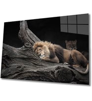 Aslan Cam Tablo