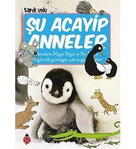 Şu Acayip Anneler