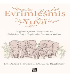 Evrimleşmiş Yuva