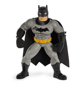 Spin Master Batman Yüzme Arkadaşları  6067008  20142128
