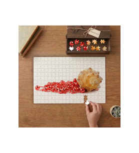 Deniz Kabuğu Görseli Tasarımı 240 parça Ahşap Puzzle Ahşap Kutuda MP00110