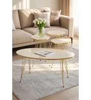 Zigon Sehpa Ve Orta Sehpa Elips Set Gold Krem Tel