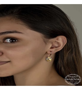 S-warovski Crystal Taşlı Gümüş Damla Sallantılı Kadın Küpe