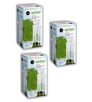 3 Kutu Matcha Tozu Çayı Maça Çayı 3 Paket