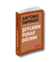 Şeylerin Tuhaf Düzeni