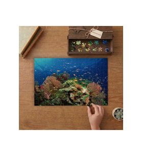 Okyanus Altı Renkli Canlılar Tasarımı 240 parça Ahşap Puzzle Ahşap Kutuda MP04731